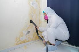 Mold Documentation for Insurance Claims